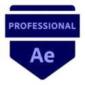 Módulo Bonus: Ruta de Certificación Adobe Certified Professional (ACP)